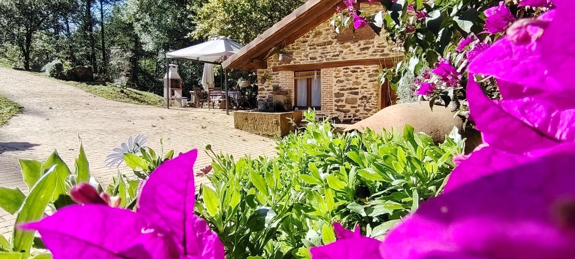 Apartmán Haraneko Errota Aranguren  Exteriér fotografie